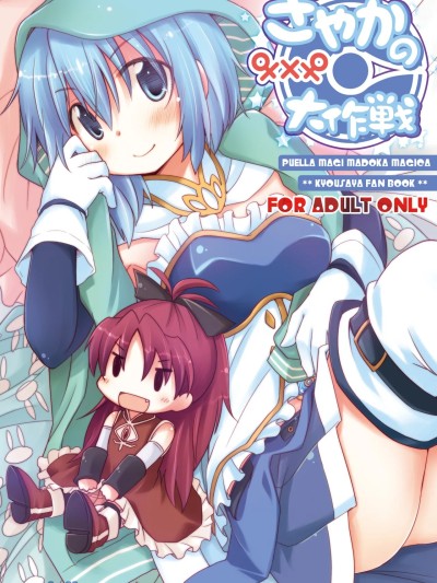 [透明声彩汉化组] (C81) [えねるぎあ (ぴかち)] さやかの×××大作戦 (魔法少女まどか☆マギカ)