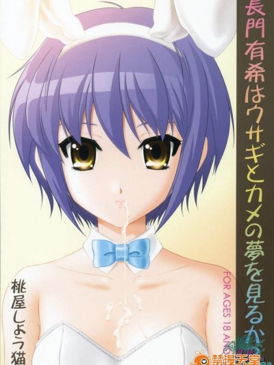[涼宮春日的憂鬱 長門有希はウサギとカメの夢を見るか]