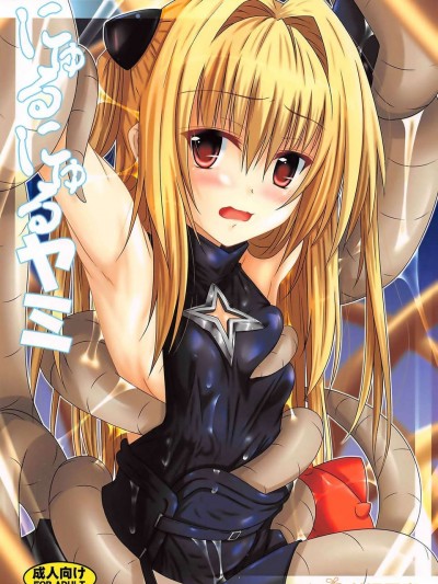 (C85) (同人誌) [夜の勉強會 (ふみひろ)] にゅるにゅるヤミ (ToLOVEる)[final個人漢化]
