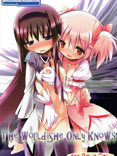 (C80) [ふらいぱん大魔王 (提燈暗光)] THE WORLD SHE ONLY KNOWS (魔法少女まどか☆マギカ)